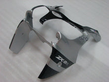 Carica l&#39;immagine nel visualizzatore di Gallery, Black and Silver Monster - NINJA ZX-9R 02-03 Fairing Kit