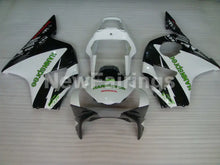 Carica l&#39;immagine nel visualizzatore di Gallery, White and Black HANN Spree - CBR 954 RR 02-03 Fairing Kit -